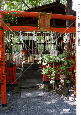 Nomiya Shrine Hakufuku Inari Daimyojin (Kyoto) Nomiya Shrine Hakufuku Inari Daimyojin (Kyoto) 45942493