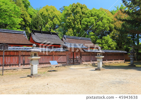 Many green nine places Myojin (Ninna-ji) 45943638