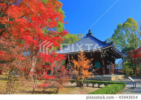 秋葉的Ninna-ji寺廟 秋葉的Ninna-ji寺廟 45943654