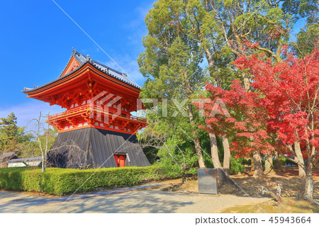 Ninna-ji Temple of autumn leaves 45943664