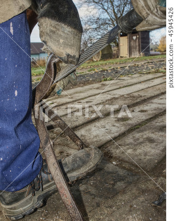 Blacksmith rasp, hoof knife and hoof cut nippers. Blacksmith rasp, hoof knife and hoof cut nippers. 45945426