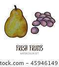 Watercolor pear and grapes 45946149