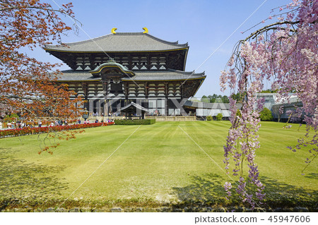 Todaiji Temple Buddha statue of spring Todaiji Temple Buddha statue of spring 45947606