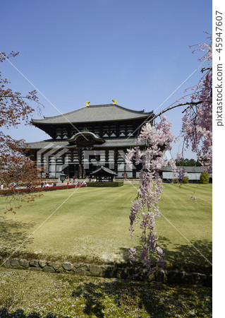 Todaiji Temple Buddha statue of spring Todaiji Temple Buddha statue of spring 45947607