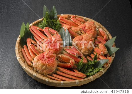 Japanese delicious salmon dishes 45947816