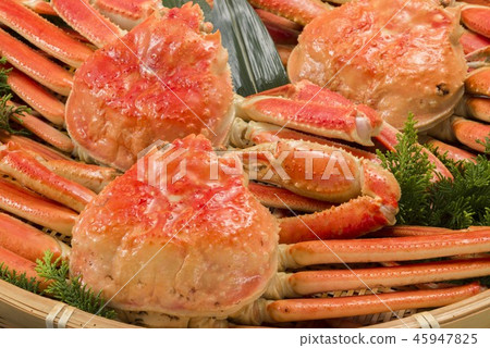 Japanese delicious salmon dishes 45947825