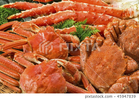 日本美味的三文魚菜餚 45947839