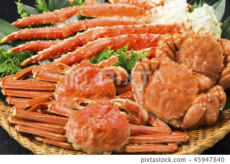 日本美味的三文魚菜餚 45947840