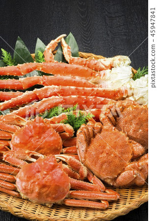 日本美味的三文魚菜餚 45947841