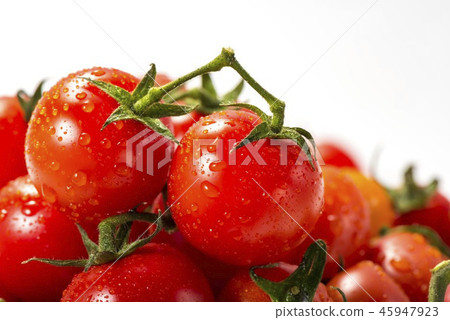 Many tomato images 45947923