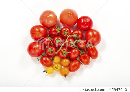 Many tomato images Many tomato images 45947940