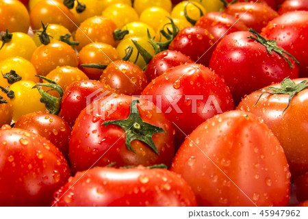 Image picture of tomato Image picture of tomato 45947962