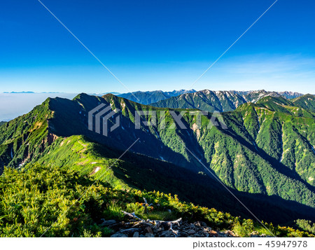 從Kashima-Kashigatake峰頂看的縱向道路 45947978