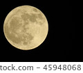 Yellow moon 45948068