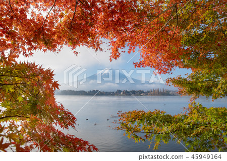 富士山 富士山 45949164