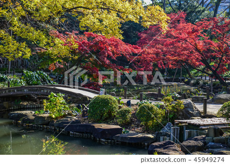 Higo Hosokawa garden Higo Hosokawa garden 45949274