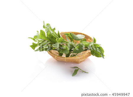 watercress isolated on white background 45949947