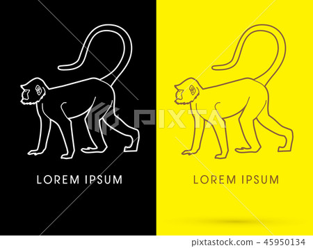 Silhouette Monkey graphic vector Silhouette Monkey graphic vector 45950134