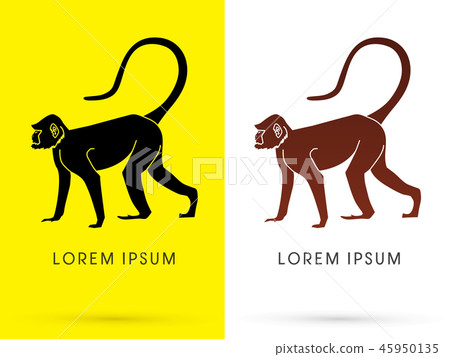 Silhouette Monkey graphic vector Silhouette Monkey graphic vector 45950135
