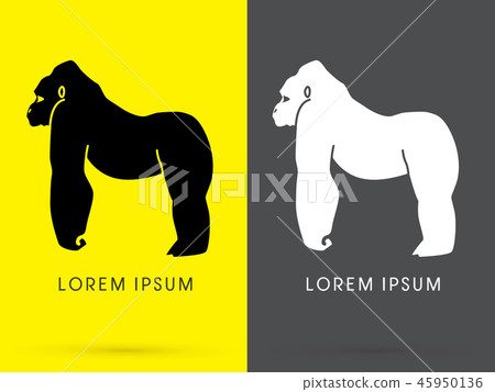 Silhouette Gorilla graphic vector 45950136