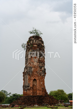 泰國Wat Palayara塔的阿尤特拉利夫雷斯廢墟 45950358