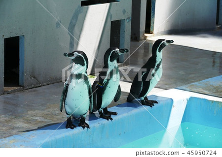 橫濱郊區 橫濱郊區 45950724