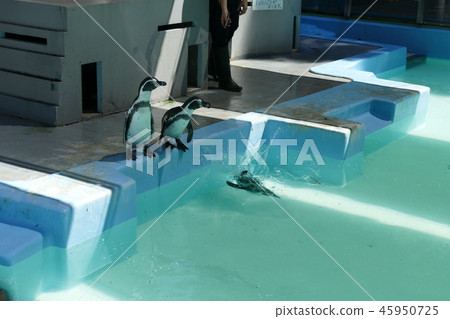 Yokohama suburbs 45950725