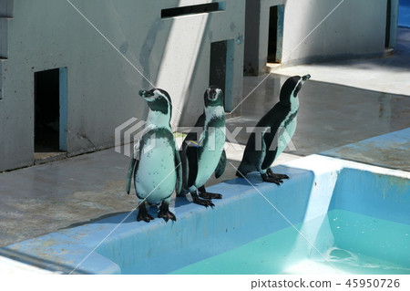 Yokohama suburbs 45950726