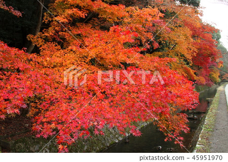 哲學的方式 哲學的方式 45951970