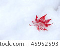 Snow and Momiji 45952593