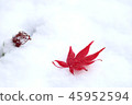 Snow and Momiji 45952594