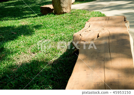 離開公園的轉彎。一把木頭椅子。在公園般的草地上的陽光反射。 45953150