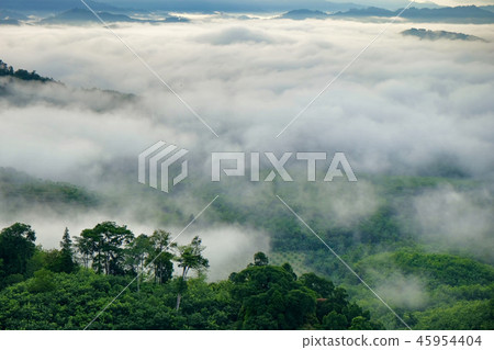 fog mountain fog mountain 45954404