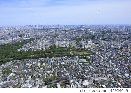 郊區住宅區/獨立住宅區和建築物在市區，鳥瞰圖 45954649