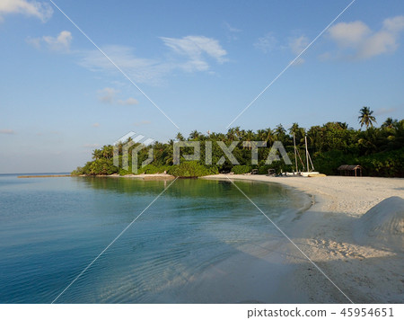 馬爾代夫Makunudu早上 45954651