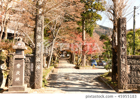 傳寺 傳寺 45955183