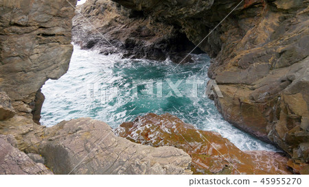 Minamicho Ebis Domon 45955270