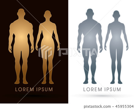 Male and female Anatomy, Human body, full body  45955304