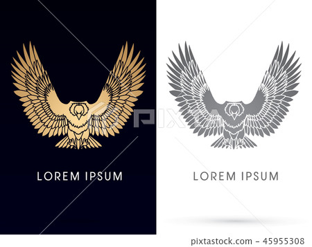 Eagle fly front view graphic vector Eagle fly front view graphic vector 45955308
