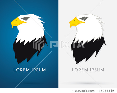 Eagle head face graphic vector 45955316