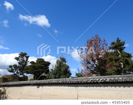 法隆寺 法隆寺 45955405