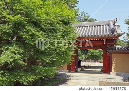 Chikineji 45955878