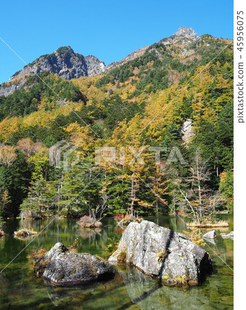 Myojin Pond Myojin Pond 45956075