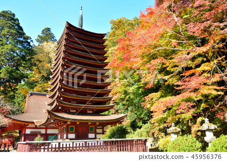 Daisyama Shrine Ten Three Story Tower Daisyama Shrine Ten Three Story Tower 45956376