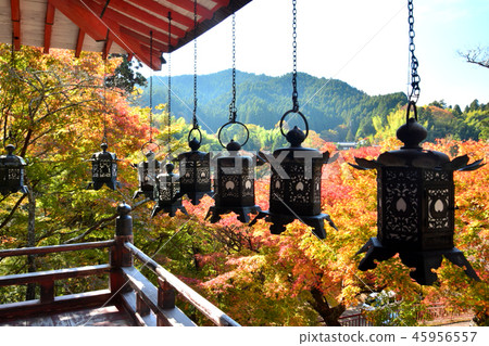 Nanzan神道聖地的秋葉 Nanzan神道聖地的秋葉 45956557