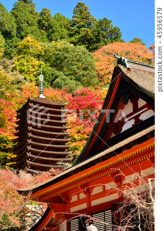 Nanzan Shrine Ten Ju Pagoda and Shusha Sakai Shrine 45956579