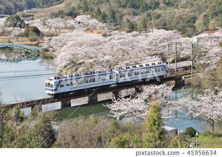 Spring Spring 45956634