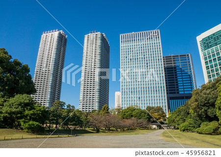 Hamarikyu Garden Hamarikyu Garden 45956821
