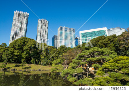 濱離宮花園 濱離宮花園 45956823