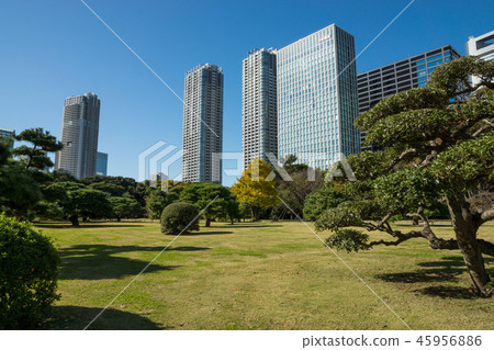 濱離宮花園 濱離宮花園 45956886